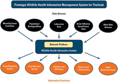 Wildlife health capacity enhancement in Thailand through the World Organisation for Animal Health Twinning Program